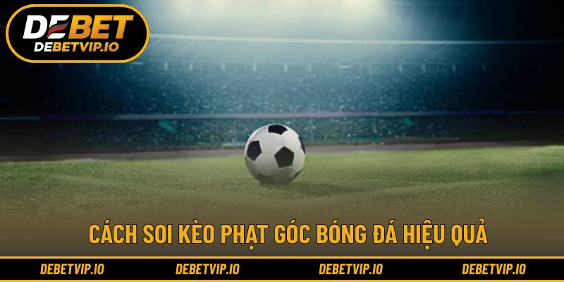 Áp dụng kinh nghiệm và dữ liệu vào từng quyết định