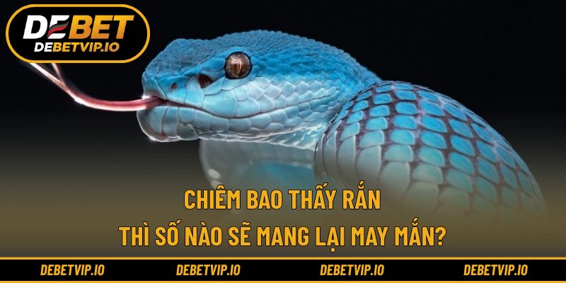 Chiêm bao thấy rắn thì số nào sẽ mang lại may mắn?