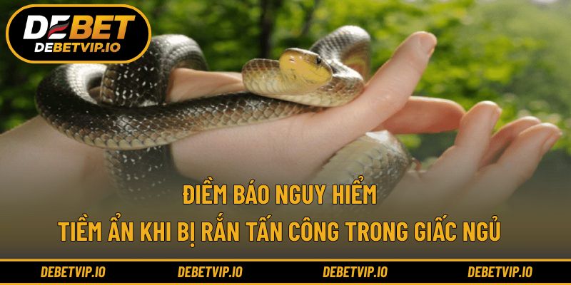 Điềm báo nguy hiểm tiềm ẩn khi bị rắn tấn công trong giấc ngủ