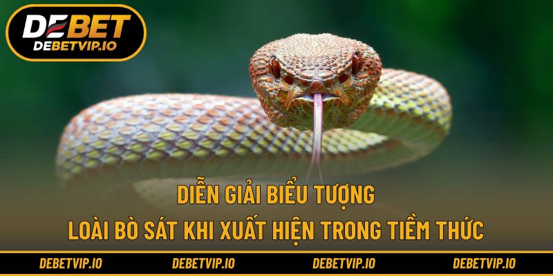 Diễn giải biểu tượng loài bò sát khi xuất hiện trong tiềm thức