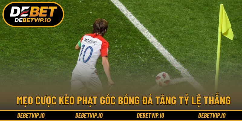 Lưu ý nhỏ nhưng ảnh hưởng lớn đến kết quả cá cược