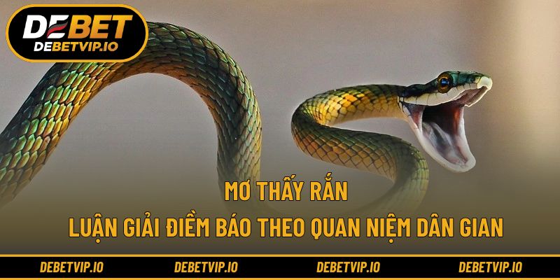 Mơ thấy rắn